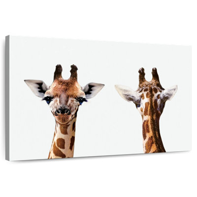 Giraffe Front And Back Portrait