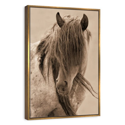 Freedom Horse