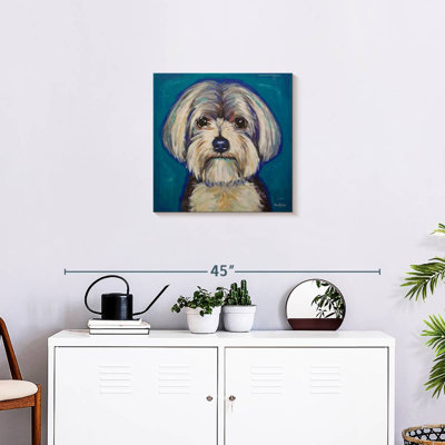 Crowle maltais Yorkie