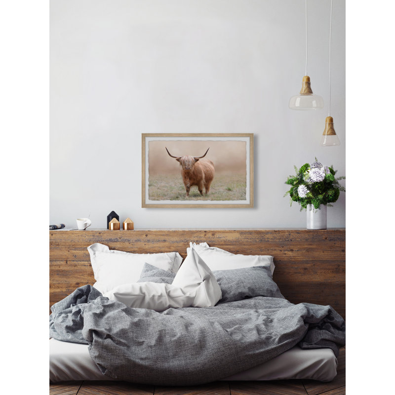 Foggy Pasture - Single Picture Frame Print, 20cm H x 30cm W x 3.81cm D