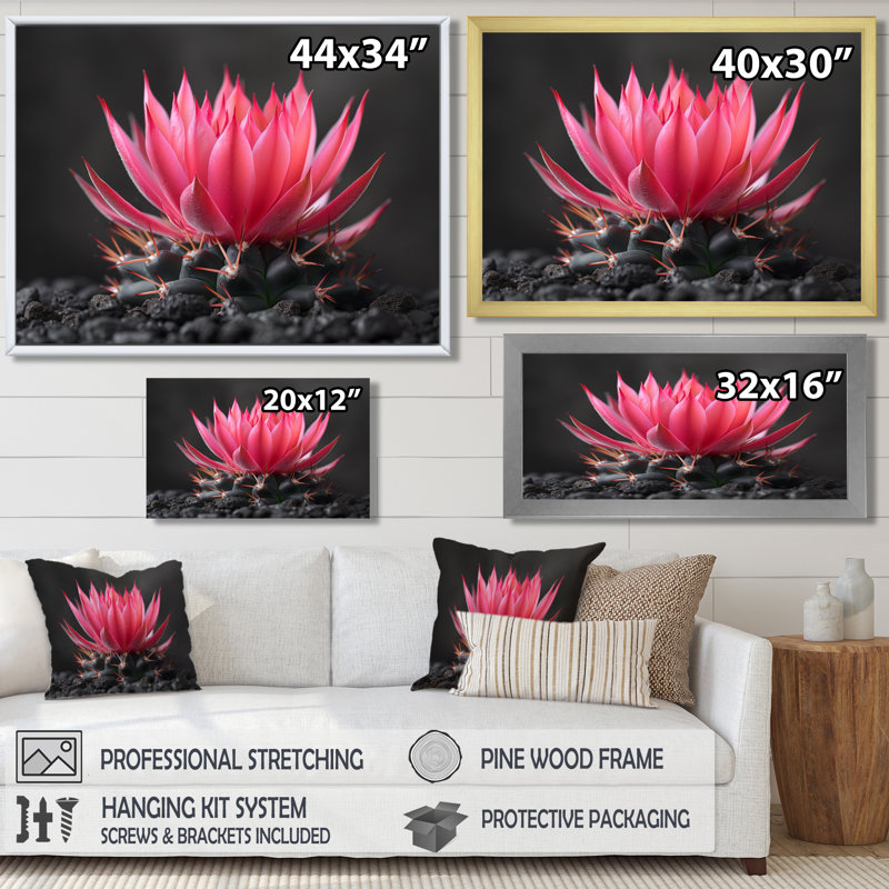 Cactus rose, gris, beauté florale - décoration murale cactus floral, Toile tendue, H 16 po x l 32 po