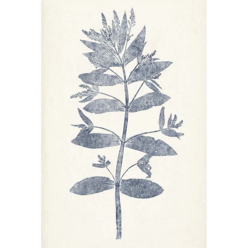 Marine Botanicals III, H 12 po x l 8 po