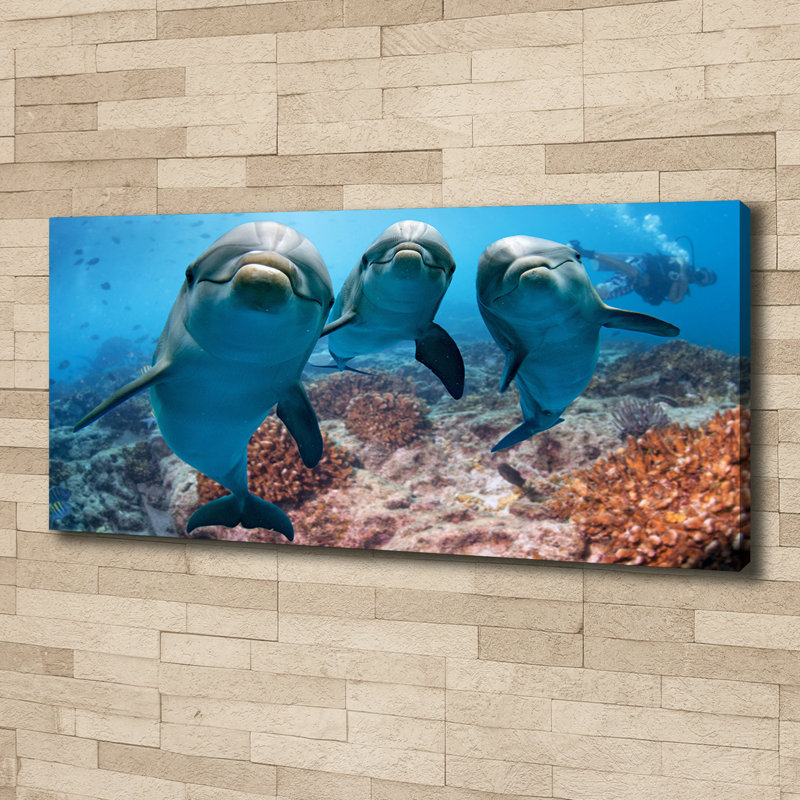 Dolphins - Wrapped Canvas Print, Canvas, 50cm H x 125cm W