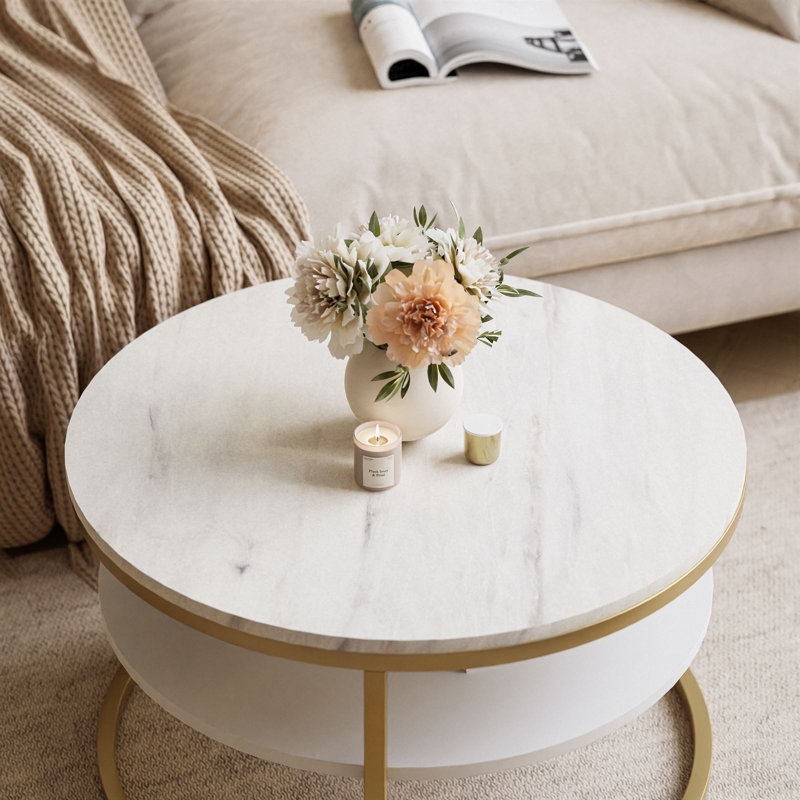 McLellen Frame Coffee Table with Storage, Matt Gold