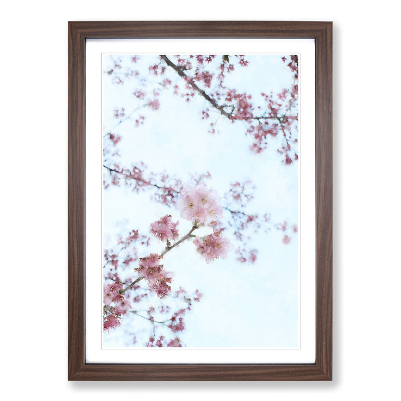 Eye of the Cherry Blossom Tree - Framed Print, Walnut Framed, 65cm H x 48cm W x 2cm D