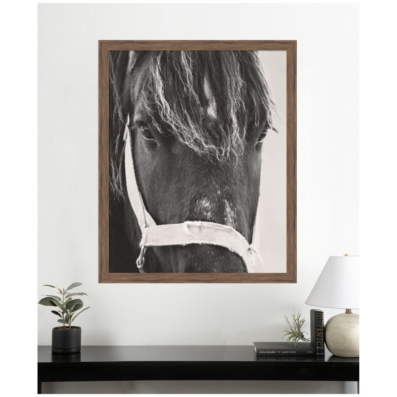«Black Horse» par Emiko et Mark Franzen, reproduction d'art encadrée F2 Images