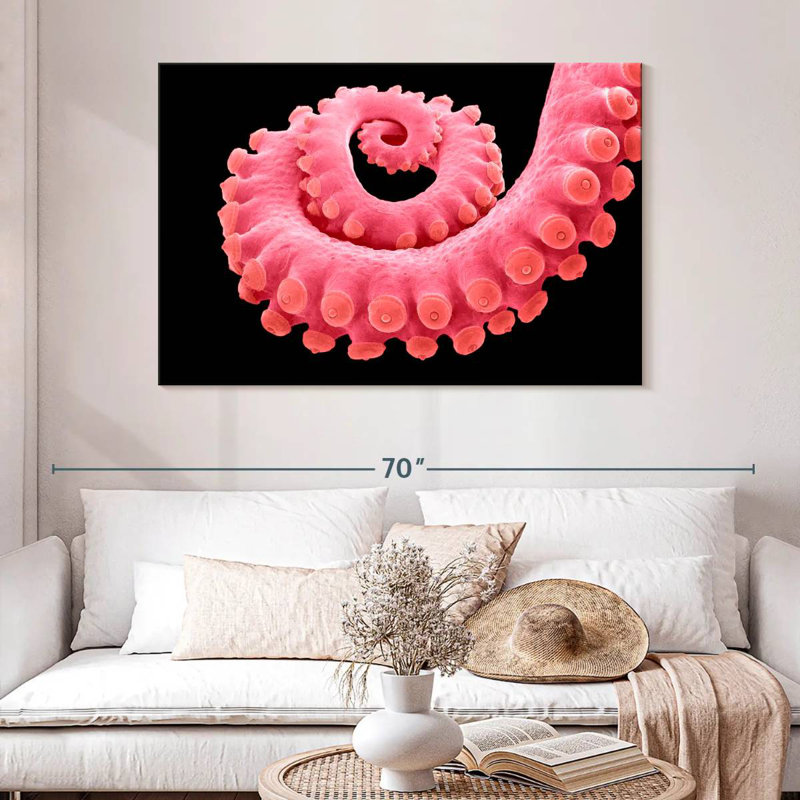 Tentacule de pieuvre rose Brampt, H 20 po x l 30 po