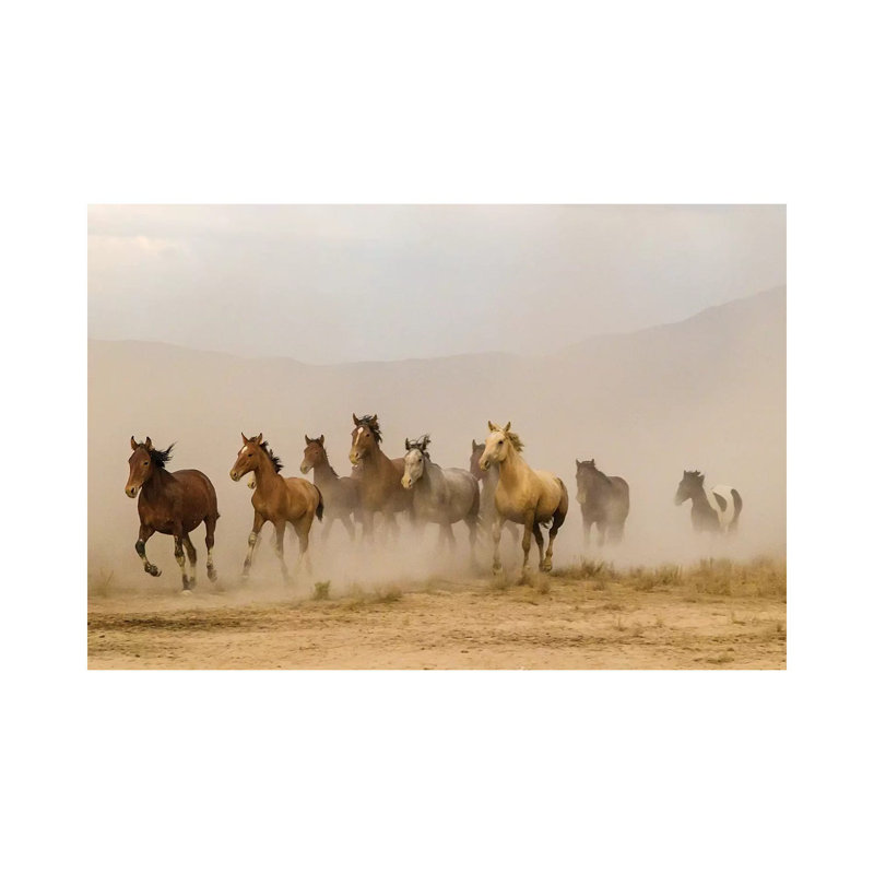 USA, Utah, Tooele County. Wild Horses Running. by Jaynes Gallery - Wrapped Canvas Gallery-Wrapped Canvas Giclée