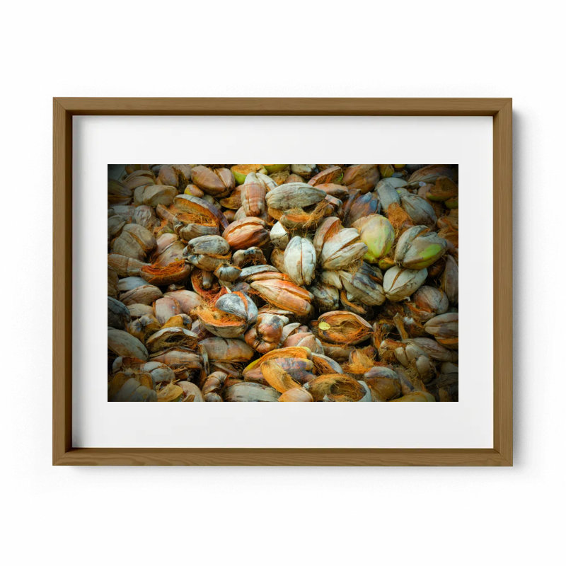 Hazy In The Coconut Print by Joseph Regan, Walnut, 26" H x 36" W x 0.75" D