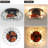 Didula 19.7'' Ceiling Fan with Light Kit