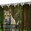Rideau de douche avec 12 crochets Tiger-1176111978