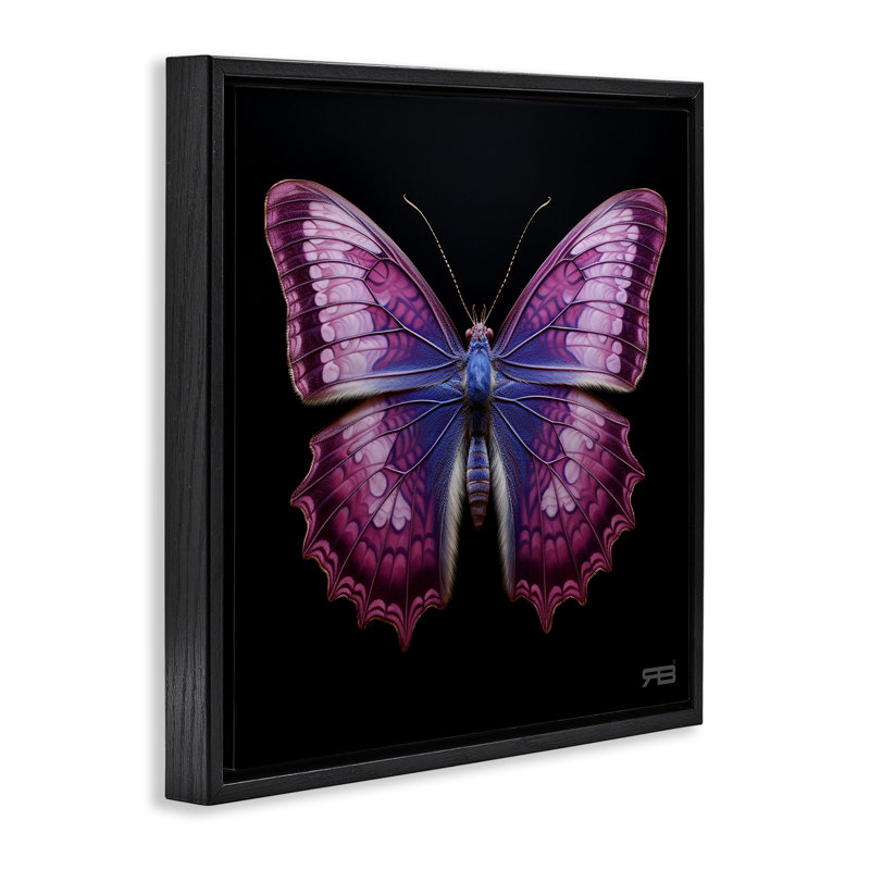 «Vivid Purple Butterfly», art mural encadré flottant par Roozbeh Bahramali, Cadre flottant noir de jais, H 18 po x l 18 po