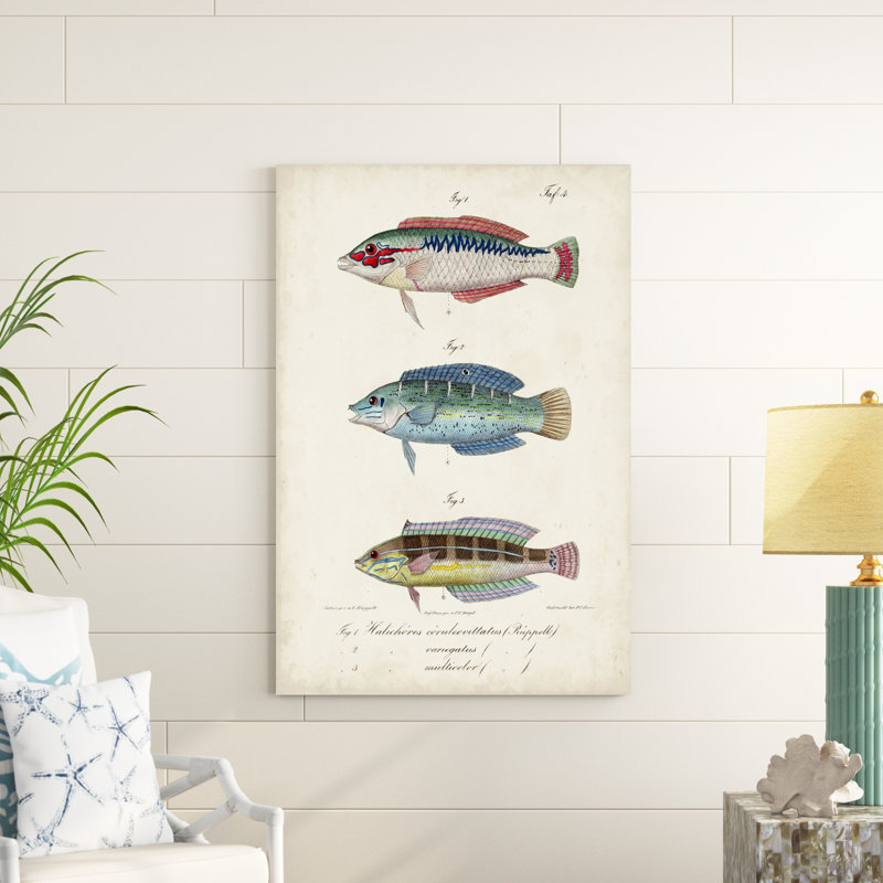 Trio de poissons antiques II, H 48 po x l 32 po x P 1,25 po