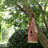 Strader 13.25'' H x 13.25'' W x 4.25'' D Weather Resistant Birdhouse-1041757925