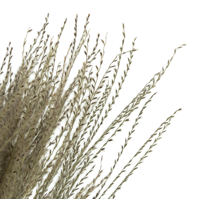 0.125'' Grass