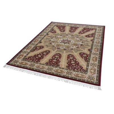Rectangular Oriental Area Rug