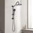 Shower Head with Handheld Shower System with 10" Rain Shower Head-129591128