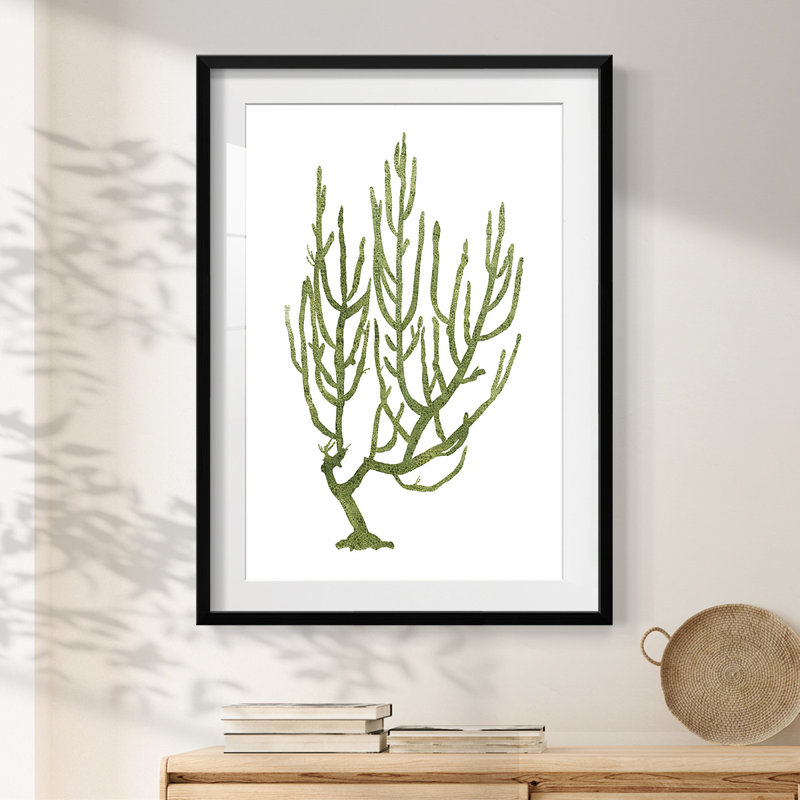 Desert Rose Valley I -Gallery Wrapped Canvas