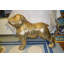 Statue de bouledogue doré en bronze géant - Taille: L 62 po x l 26 po x H 44 po.