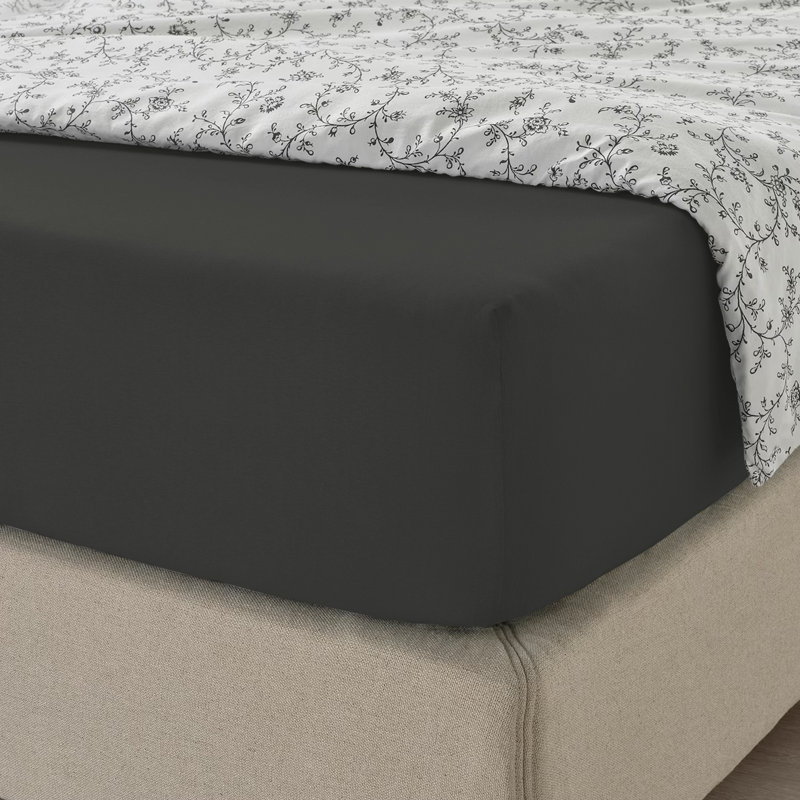 Cotton Blend Percale Fitted Sheet, Double (4'6), Charcoal