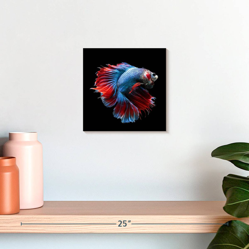Brampt Blue And Red Betta Fish, 10" H x 10" W