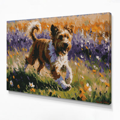 Dogs Berger Picard Brown Canvas Wall Art