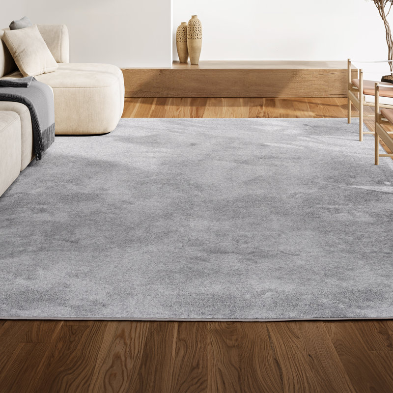 Asal Gray Area Rug, Rectangle 4' x 6'
