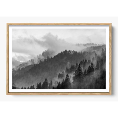 "Grey Mountain"