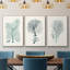 Antique Coastal Coral I, impression sur toile 3 pièces-91887264-91887265