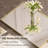 Areiona Beveled Bathroom Accent Vanity Mirror-811519015-863417218