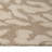 Diane-Leopard-105508643