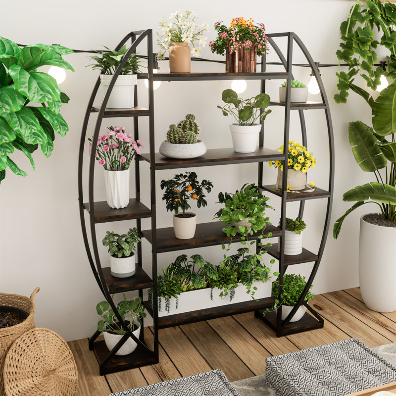Aikins 125CM L 177CM H Plant Stand
