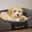 Chester Polyester Pet Bed-1154485622-1154485619