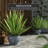 Morawa Handmade Ceramic Cachepot-77821008
