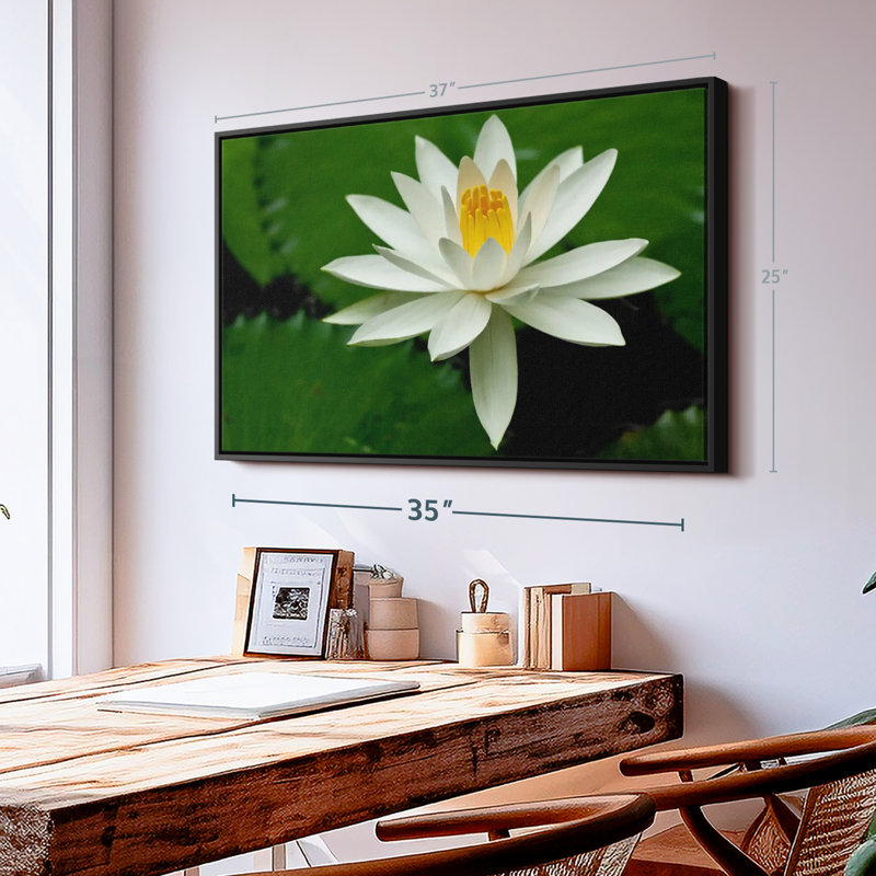 Floral et botanique «Fleur de lotus blanche», H 25 po x l 37 po