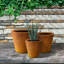 Pot de fleurs Waitman-1631442498