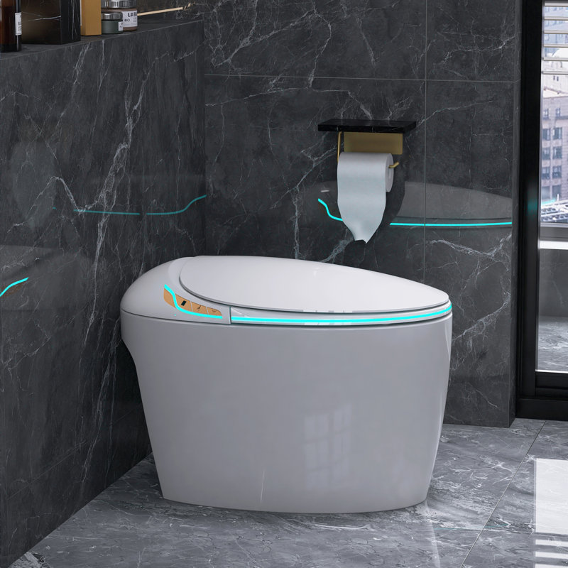 Toilette intelligente allongée en forme d'œuf avec siège de bidet, ouverture et chasse automatique, siège chauffant ajusté, eau chaude et sécheuse, veilleuse, boutons latéraux
