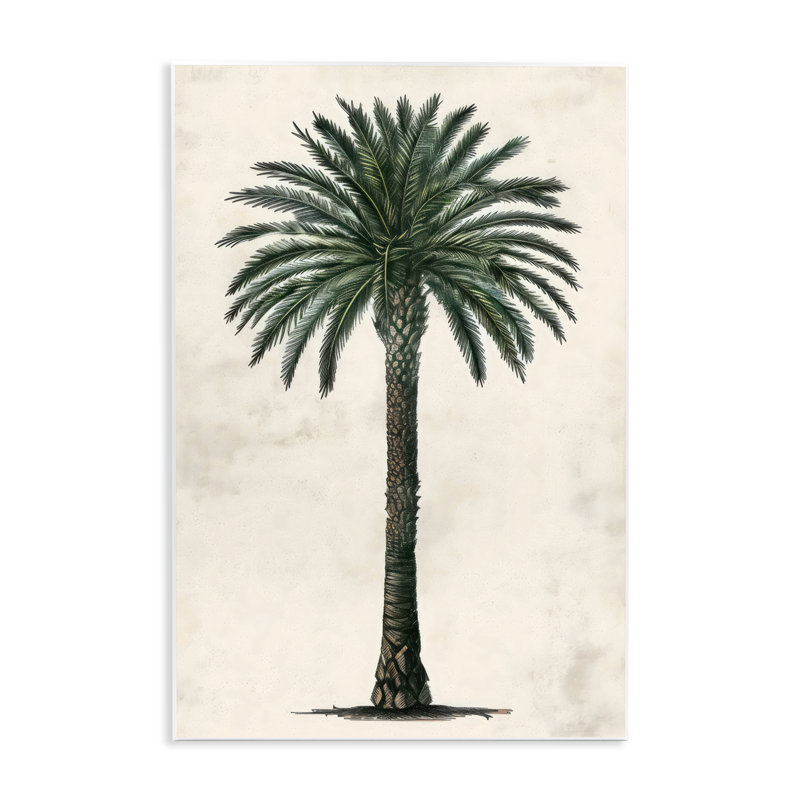 Plaque murale de palmier rond botanique, design par LSR Design Studio, H 15 po x l 10 po