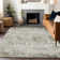 Machine Washable Indoor/Outdoor Cicel ACN1128 Taupe Rug