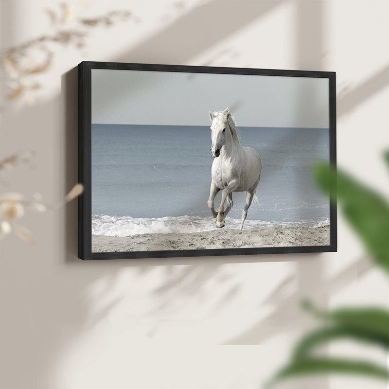 Cheval de plage de Camargue - reproduction encadrée - réarmable, H 11 po x l 14 po, Noir, noir, noir, noir