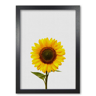 Sunflower Still Life - Print