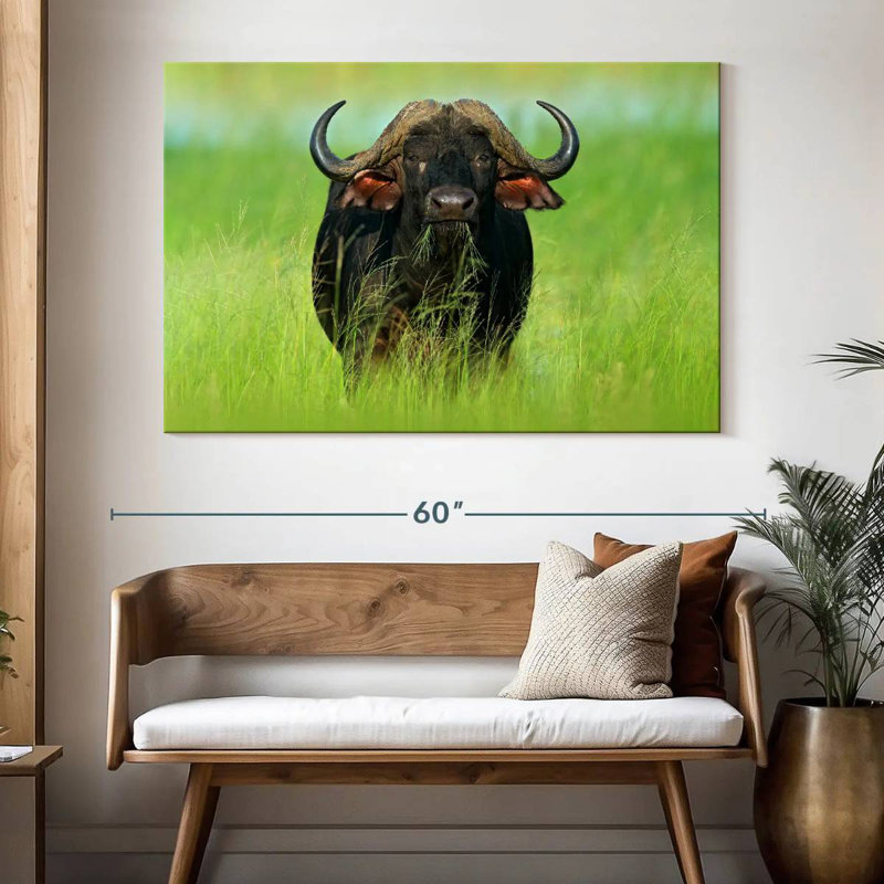 Manger du bison, H 34 po x l 51 po