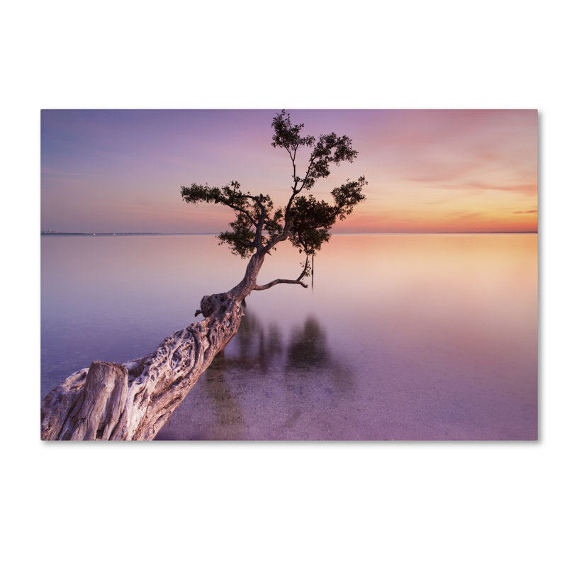 Moises Levy Sunset Tree Landscape Canvas Print