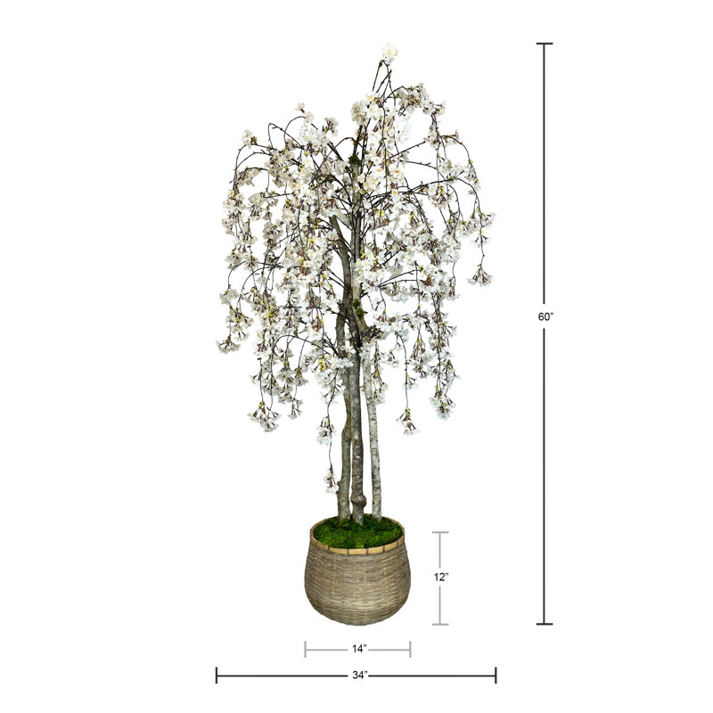 Faux Cherry Blossom Tree in Fiberstone Planter, 60" H x 34" W x 11.50" D