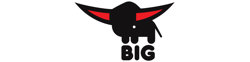 BIG logo