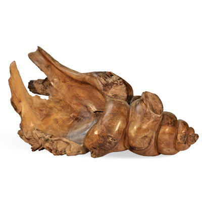 Teak Shell
