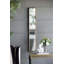 Miroir taille réelle