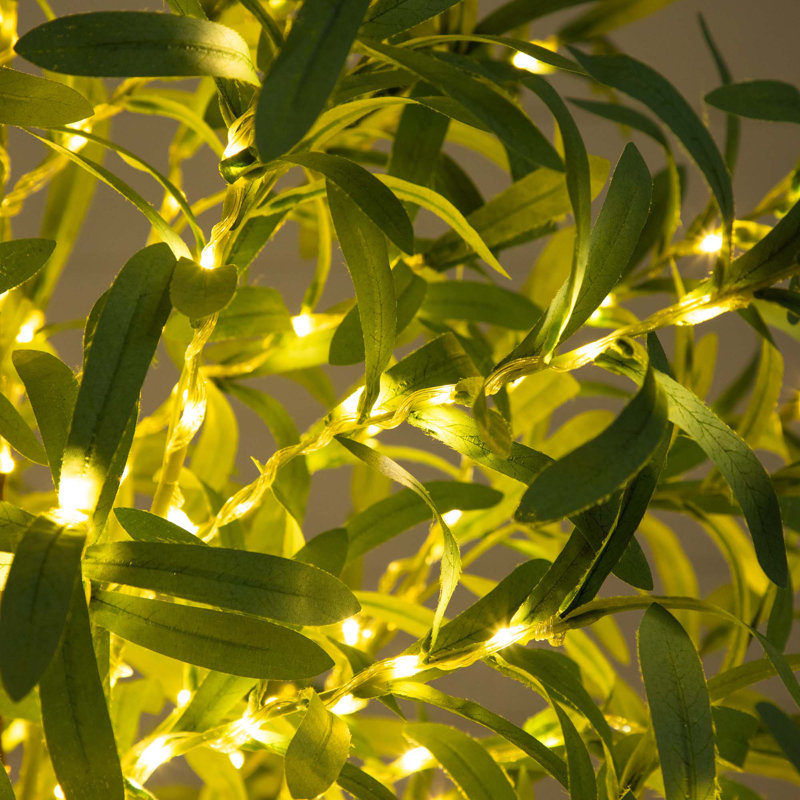 6 pi Olive artificiel éclairé avec 420 lumières DEL blanc chaud
