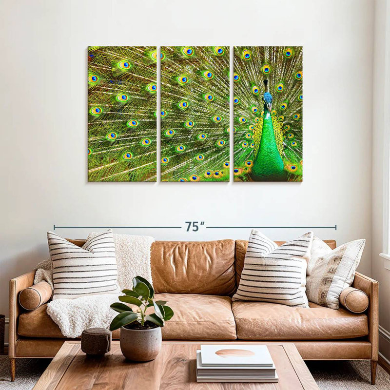 Brampt Showing Off Peacock Feathers, 36" H x 57" W