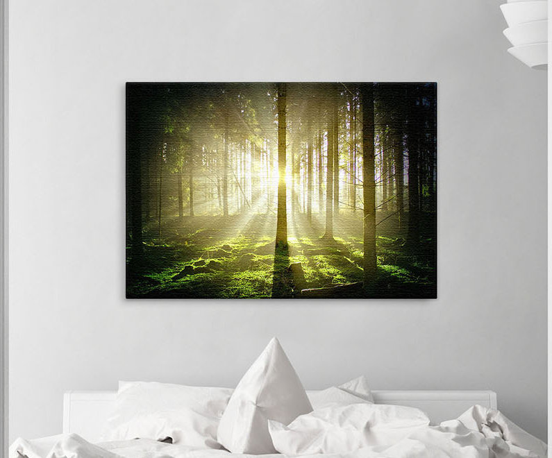 Forest Dark - Print on Canvas, 100cm L x 150cm W x 2cm D, Premium